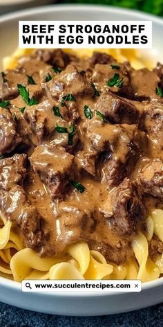 beef stroganone with egg noodles in a white bowl