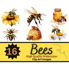 bees and honeycombs with the text bee's high quality watercolor clip art images