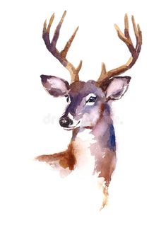 a drawing of a deer with antlers on it's head