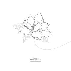 a black and white drawing of a flower on a white background with the words, flowers in magnoliaia