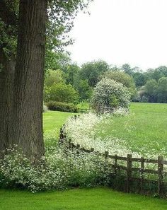 a fence in the middle of a grassy field next to a tree and grass covered field