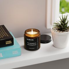 a candle and some books are sitting on a window sill next to a potted plant