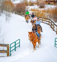 several people riding horses in the snow on a snowy day with trees and fence behind them