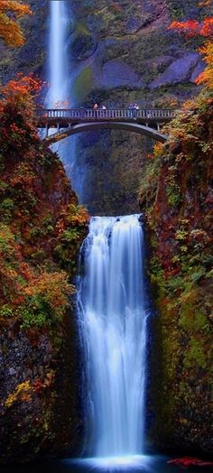 a waterfall with a bridge over it and fall foliage surrounding it in the foreground