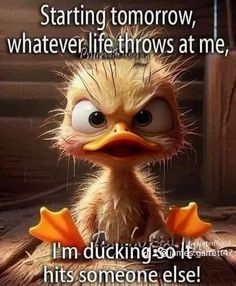 an ostrich with the caption saying, starting tomorrow, whatever life throws at me, i'm ducking someone else