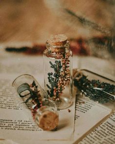 a glass jar filled with tiny plants sitting on top of an open book