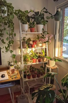 a room filled with lots of house plants and potted plants on top of shelves