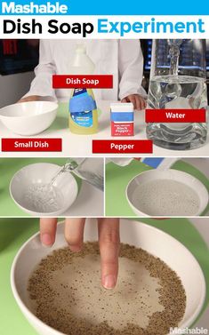 how to make homemade dish soap experiment