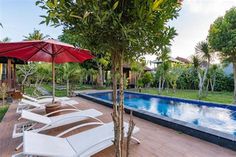 an outdoor swimming pool with lounge chairs and umbrellas next to it, surrounded by greenery