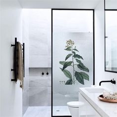 a bathroom with a glass shower door and white counter tops, along with a plant on the wall