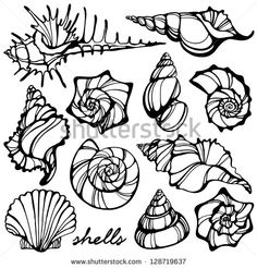 black and white sea shells clipart