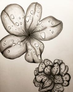 a drawing of a flower with water drops on it