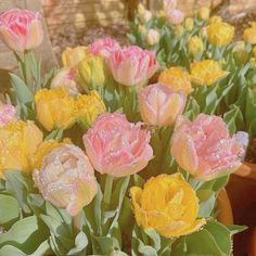 pink and yellow flowers with water droplets on them in a potted planter next to a brick wall