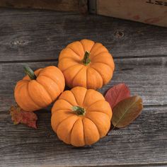 three small pumpkins sitting on top of a wooden table