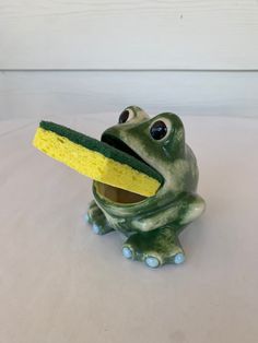 a green frog holding a sponge in its mouth