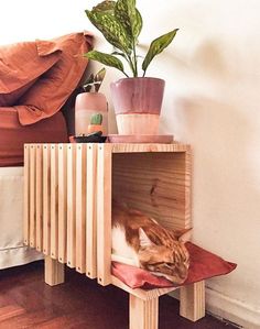 Cat Room Decor Ideas Katt Diy, Cat Room Decor, Katt Grejer, Kat Diy, Cat House Diy, Cat Shelves, Cat Room, Cat Decor, Cat Diy