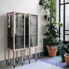 a room with plants and potted plants on the floor next to two glass doors