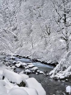 a river running through a snow covered forest