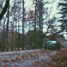 a car driving down a snow covered road next to trees and fallen leaves on the ground