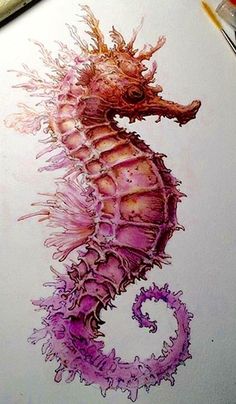 a drawing of a sea horse on paper with colored pencils and watercolor paints