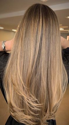 Brunette Hair With Highlights, Caramel Hair, Honey Blonde Hair, Brown Hair Balayage, Dark Blonde Hair, Blonde Hair Inspiration