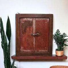 a potted plant sitting on top of a wooden shelf next to an old door