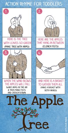 instructions for how to use the apple tree