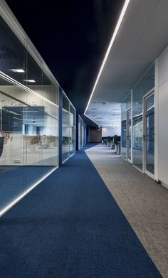 an empty office hallway with glass walls and blue carpeted flooring at night time