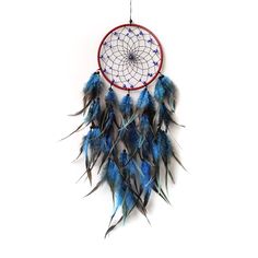 a blue and white dream catcher with feathers on it's sides hanging from a hook