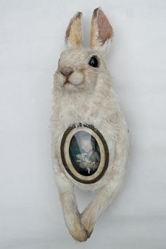 two pictures of a stuffed rabbit hanging on the wall