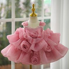 Pink Pageant Dress, Beauty Pageant Dresses, Princess Tutu Dress, First Communion Party, Floral Handbags, Princess Tutu, Girls Pink Dress, Elegant Baby