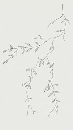 a black and white drawing of leaves on a branch