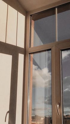 a cat sitting on the window sill looking out