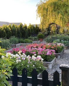 a garden filled with lots of different types of flowers