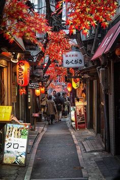 an alley way with people walking down it and lanterns hanging from the ceiling above them