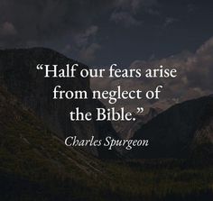 a quote from charles spurson on the bible that says, half our fears are from neglect