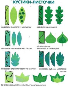 an image of different types of plants and leaves in russian language, with instructions on how to cut them