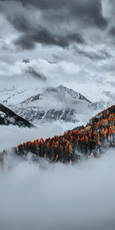 the mountains are covered in clouds and trees with orange leaves on them, as seen from above