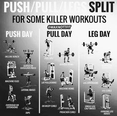 the push / pull / lies split for some killer workouts and pull - day