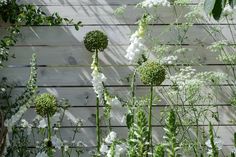 white flowers and greenery in front of a wooden wall with vertical slats on it