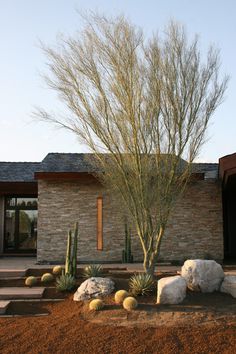 a house with rocks and plants in the front yard, next to a cactus garden