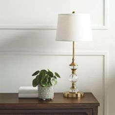 a table with a lamp and a potted plant on it