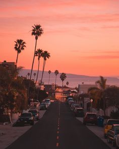 cars parked on the side of a road with palm trees in the background at sunset