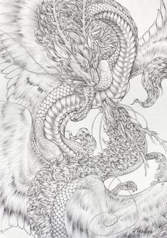 Dragon Tattoo Drawing, Imperial Dragon, Dragon Coloring Page, Dragon Sketch, Dragon Tattoo Designs, Adult Coloring Book Pages, Mystical World, Dragon Pictures, Japanese Tattoo Art