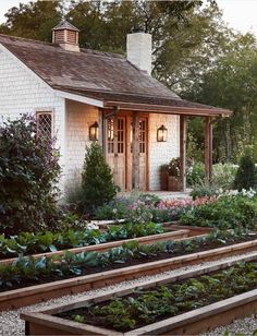 a small white house surrounded by lots of plants