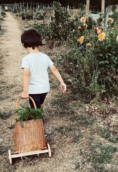 a young boy pulling a basket full of vegetables