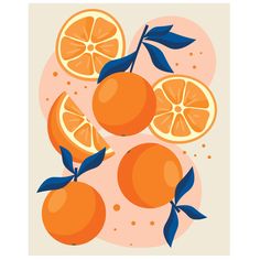 oranges with leaves on a pink background