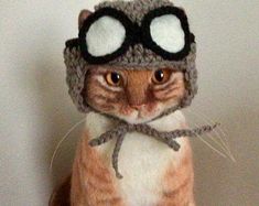 a cat wearing a knitted hat and goggles on top of it's head