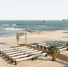 an empty beach with rows of benches and flowers on the sand near the water's edge