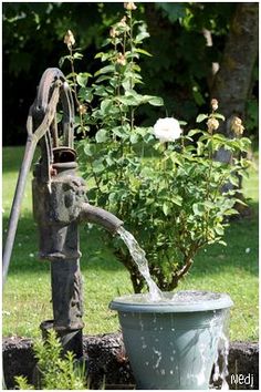 an old water faucet is being used as a planter